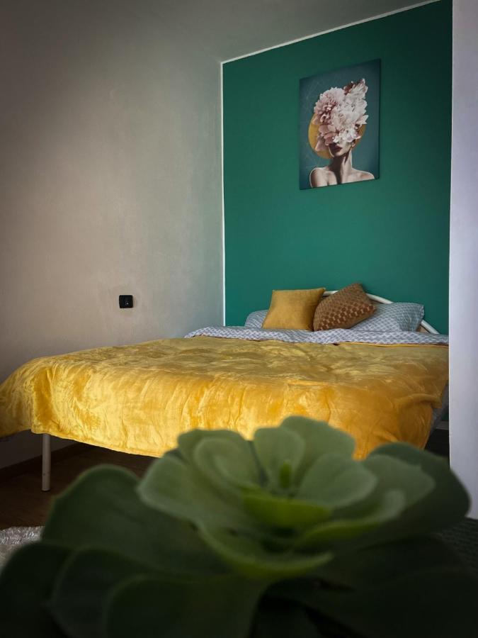 Green Studio Timisoara Esterno foto